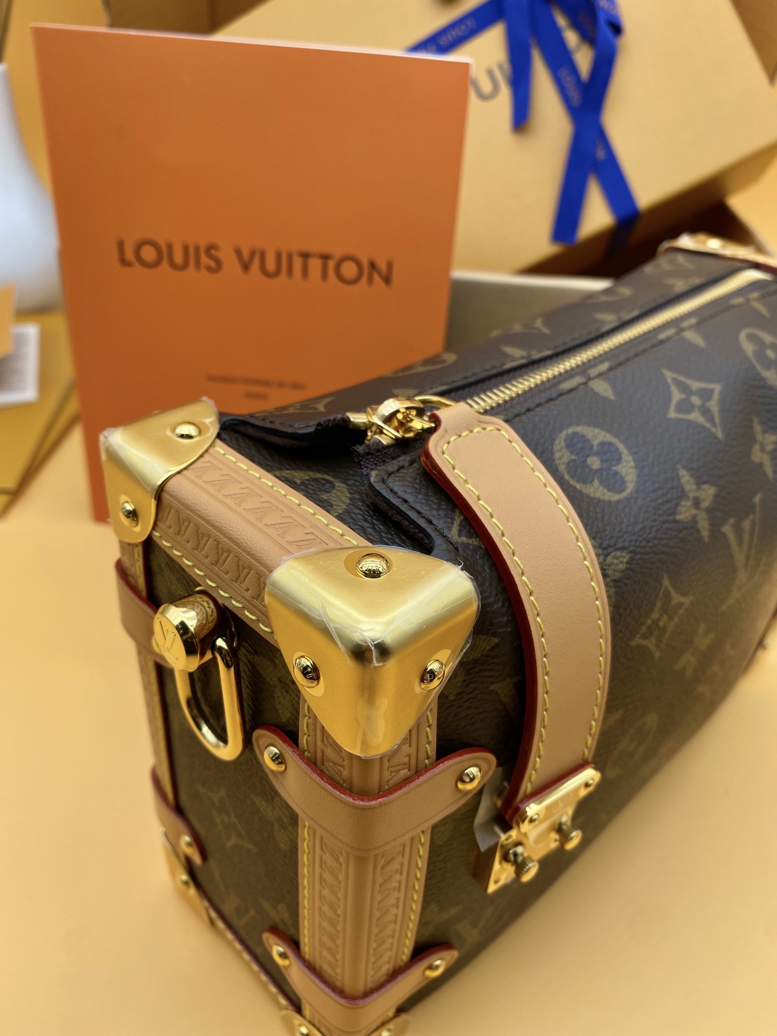 LV Box Bags